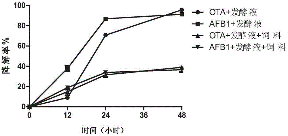 Luteimonas sp for degrading alflatoxin B1 and ochratoxin A and application of luteimonas sp