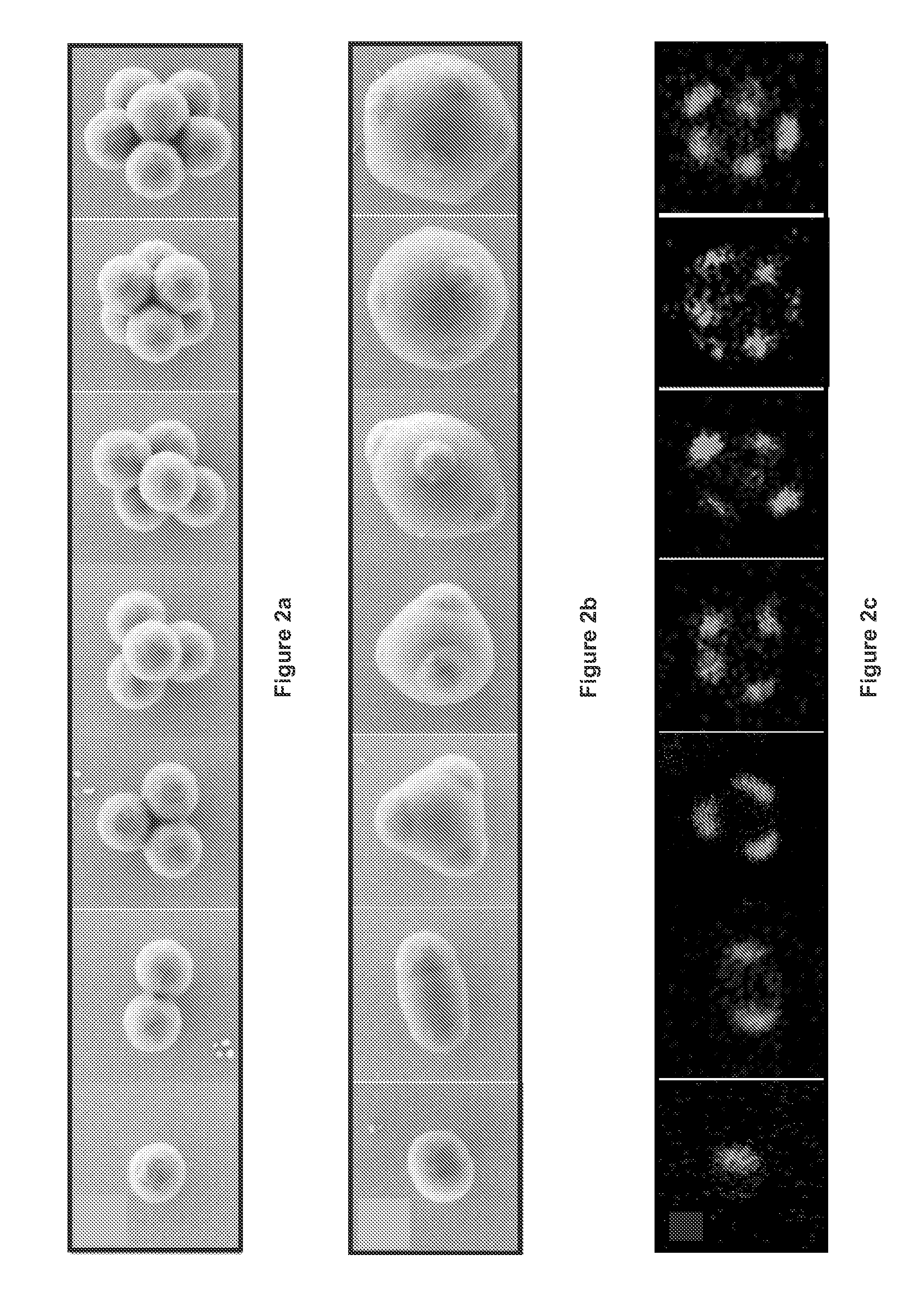 Colloids with valence: fabrication, functionalization and directional bonding