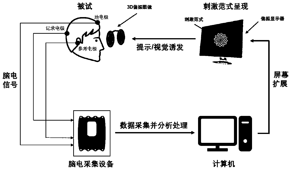 Amblyopia electroencephalogram objective and quantitative detection method