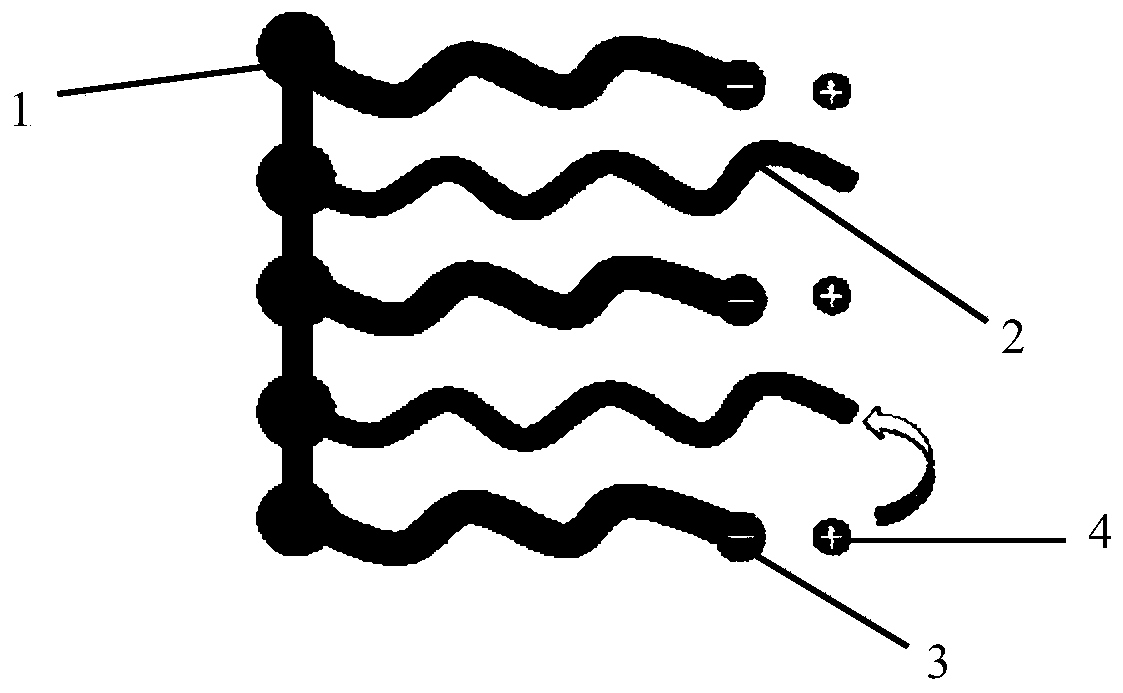 Fluorine-containing single ion conductor polymer electrolyte and its preparation method and application