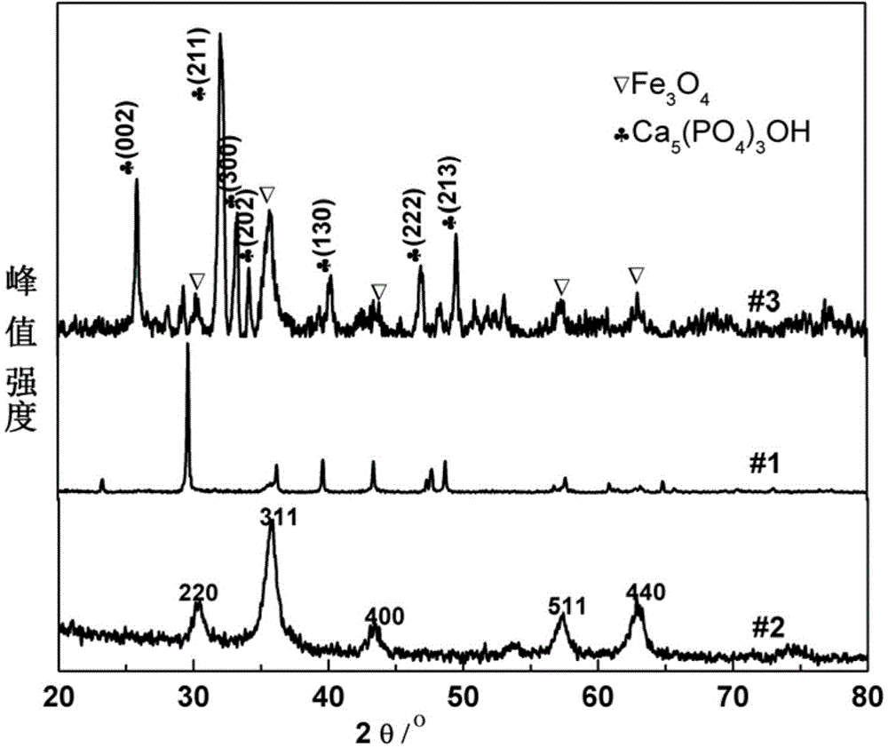 Magnetic composite hydroxyapatite nanoparticles as well as preparation method and application thereof