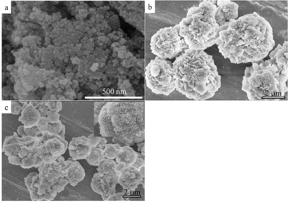 Magnetic composite hydroxyapatite nanoparticles as well as preparation method and application thereof