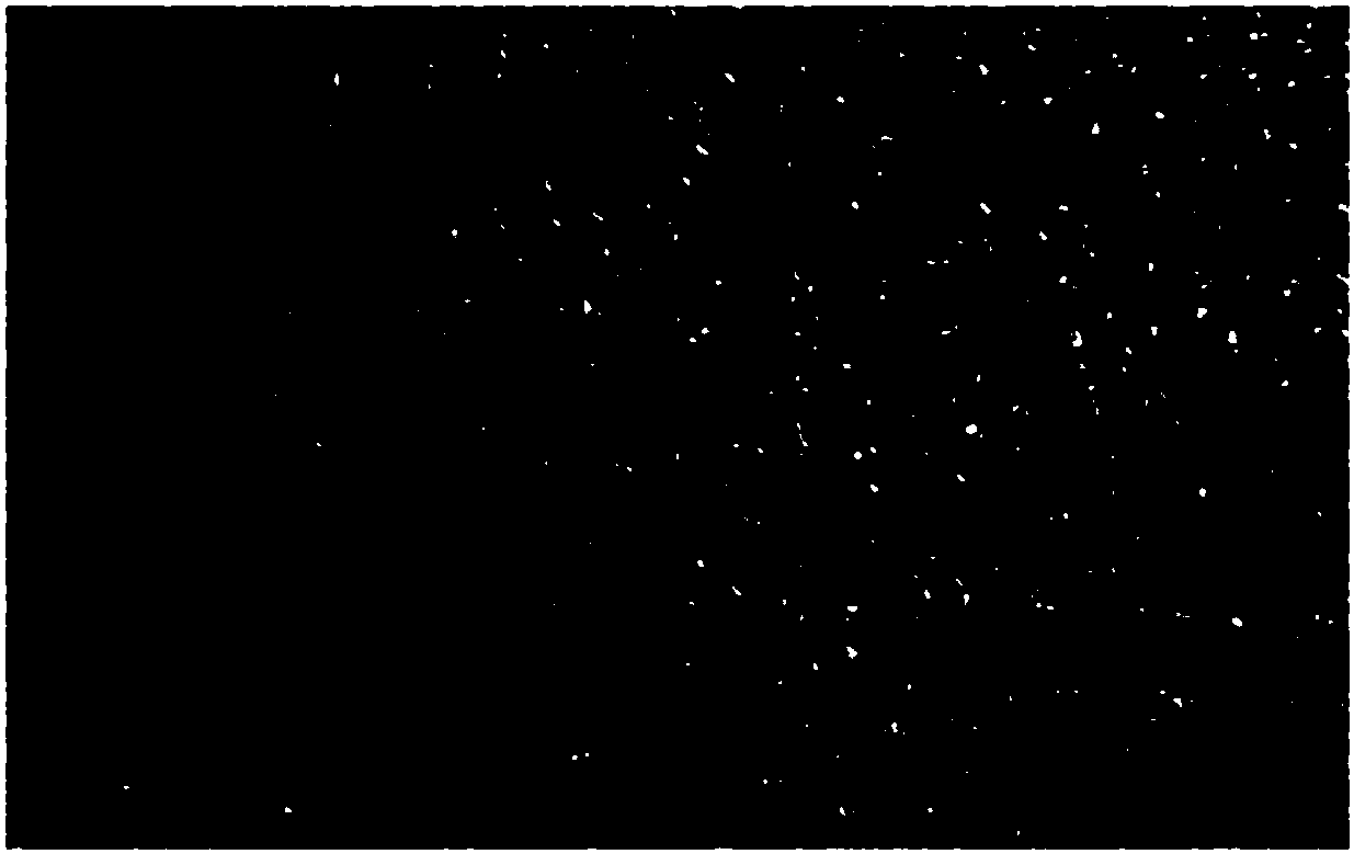 Method for preparing high-density graphene electrode material for lithium-ion capacitor