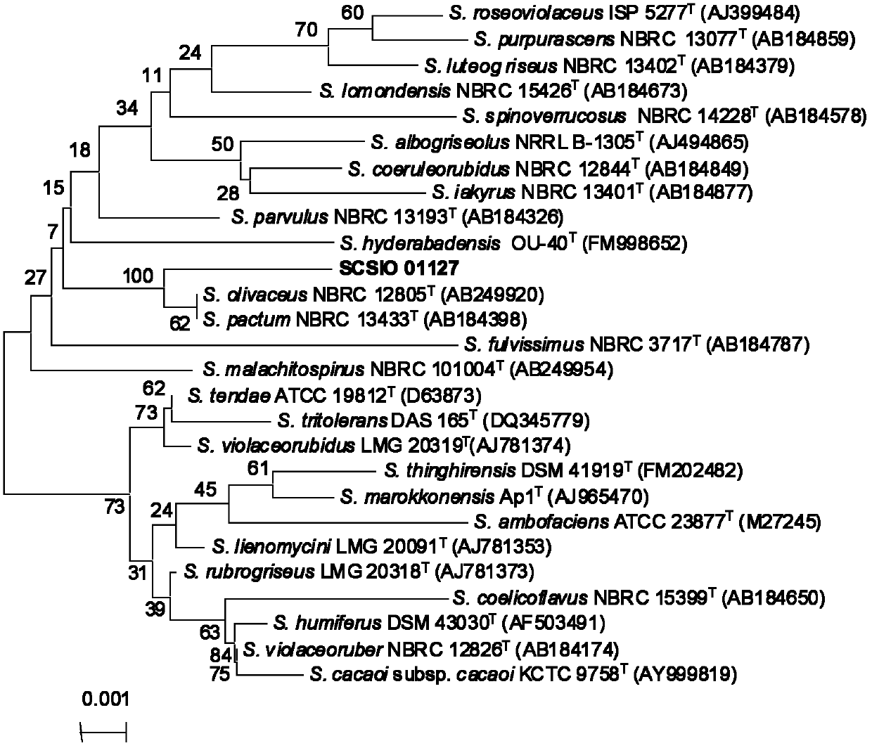 Antibiotic Lobophorin E and F, preparation methods and applications thereof in preparing antibacterial and antitumor drugs