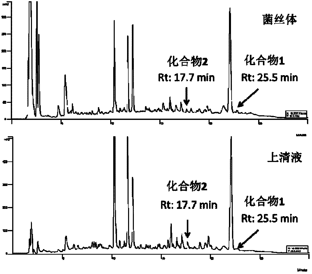 Antibiotic Lobophorin E and F, preparation methods and applications thereof in preparing antibacterial and antitumor drugs