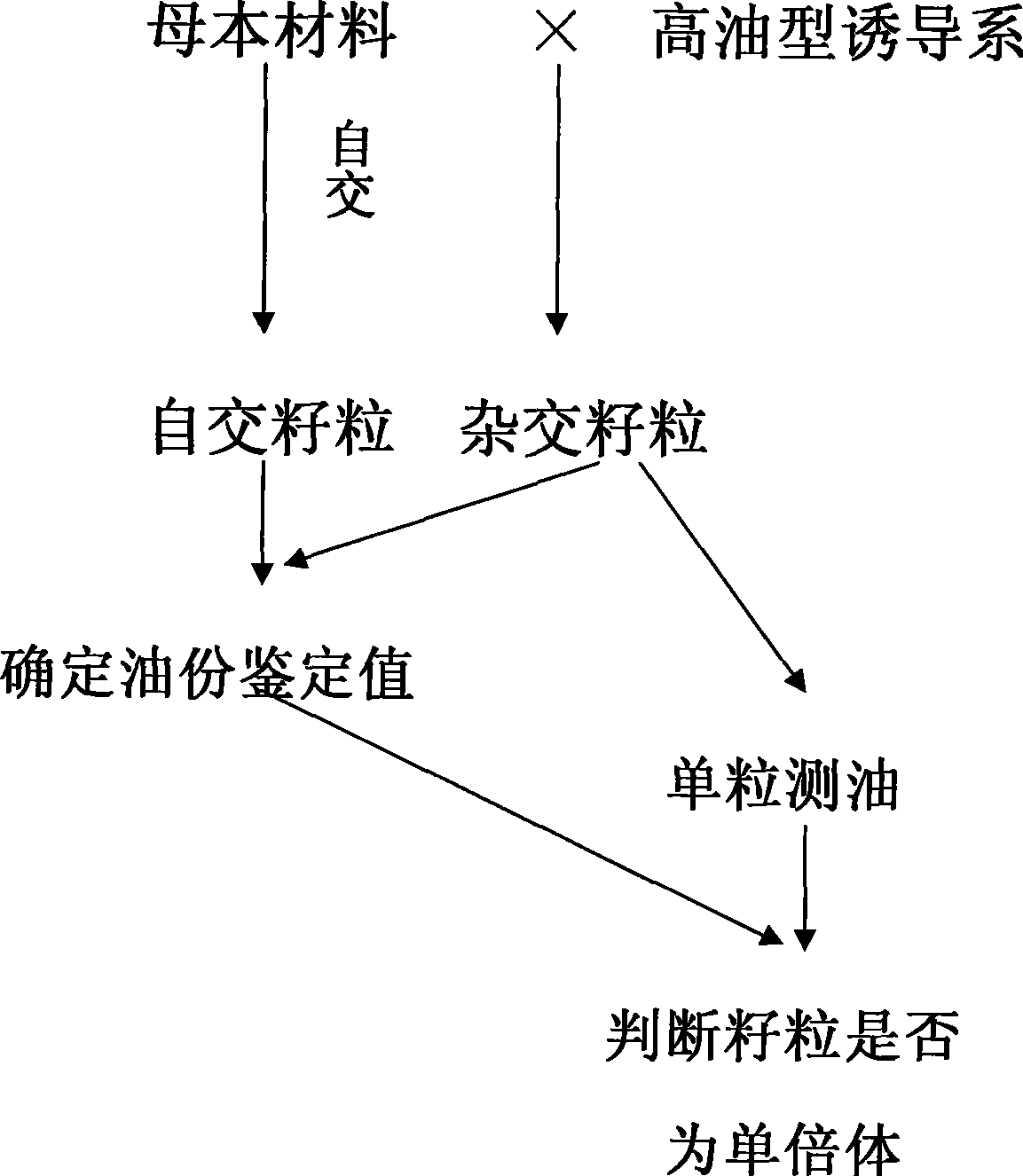 Method for identifying corn parthenogenesis haploidy