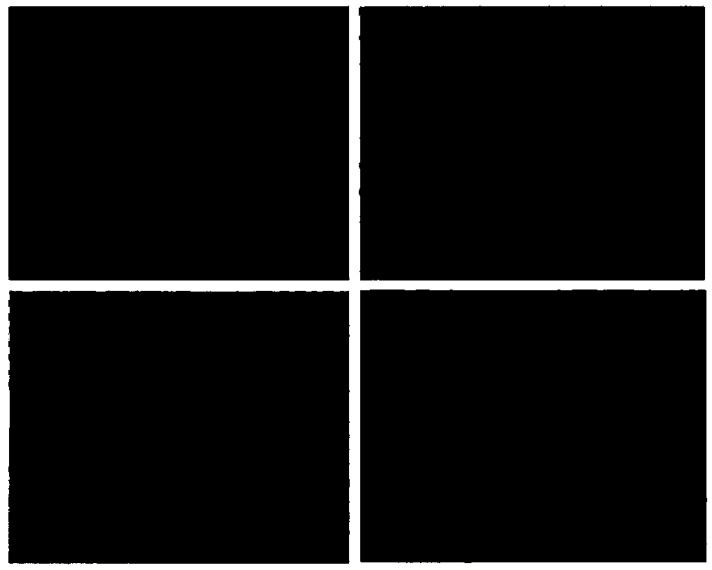 Preparation method for glass fiber-reinforced water glass-based silica composite aerogel