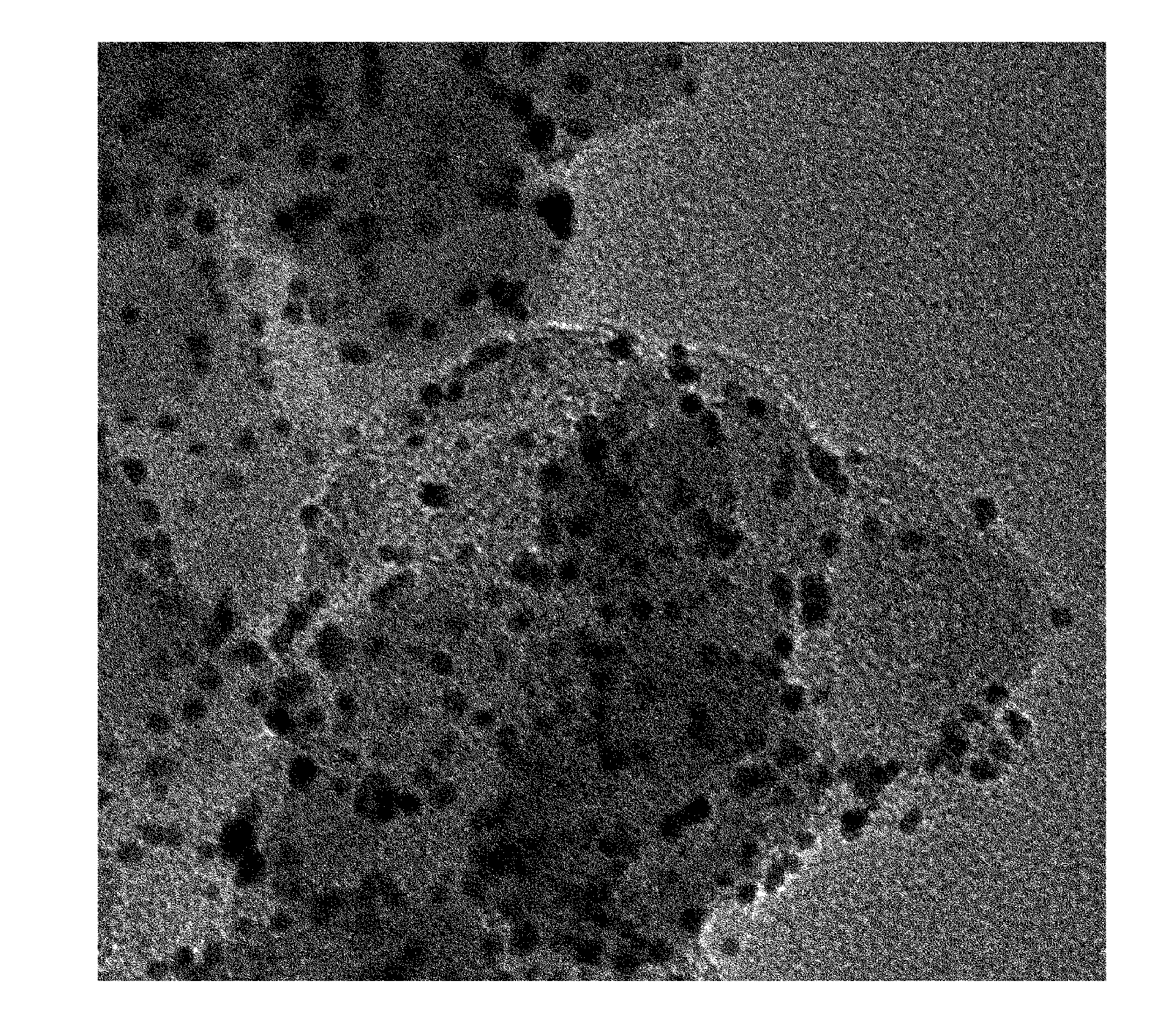 Method of preparing nano-sized catalyst on carbon support