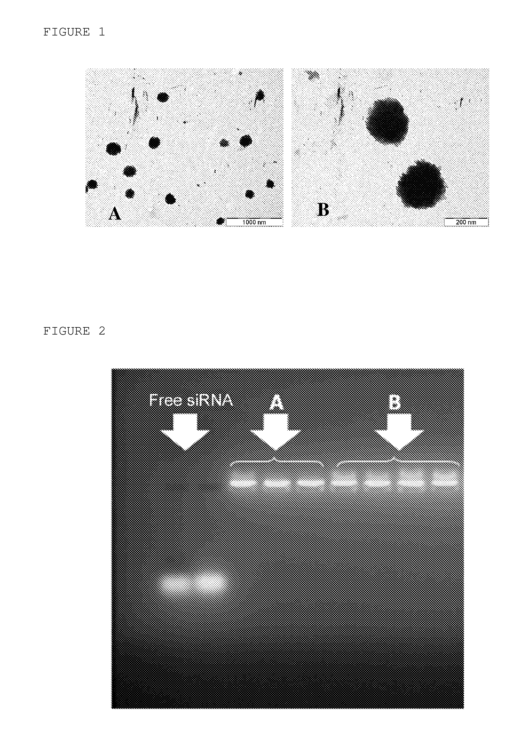 Nanoparticulate systems prepared from anionic polymers