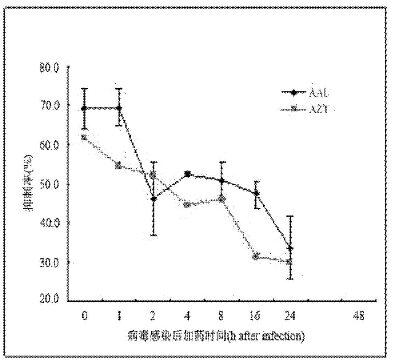 Application of agrocybe aegerita galactose agglutinin to preparation of anti-HIV (Human Immunodeficiency Virus) infection medicament