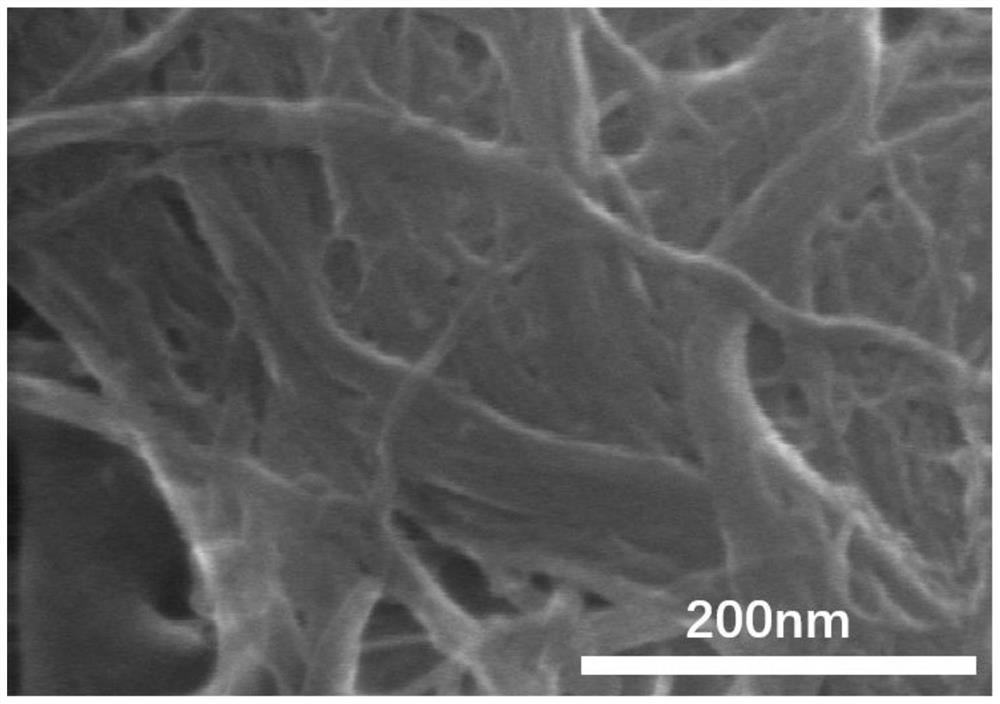 Lithium air battery gel air positive electrode, preparation method and lithium air battery