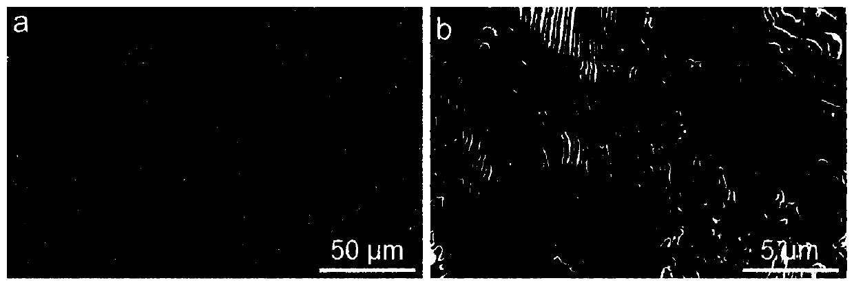 CoCrNiNbx eutectic intermediate entropy alloy and preparation method thereof