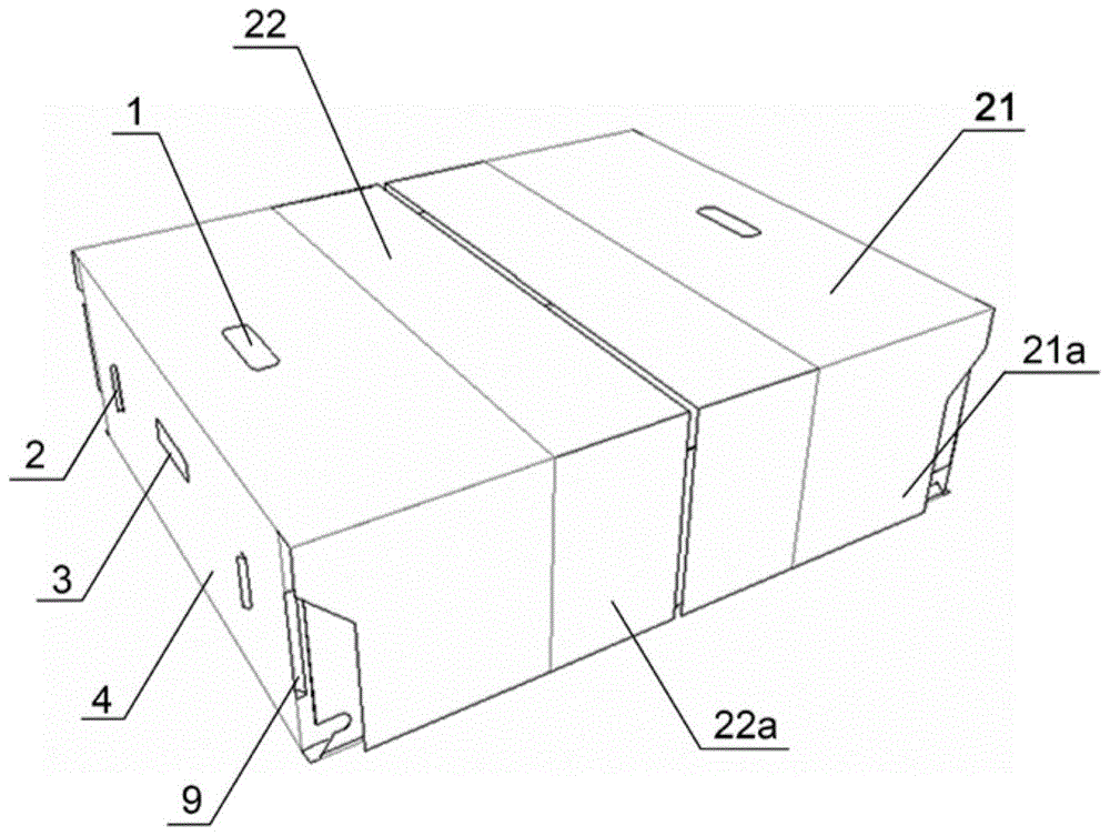 A collapsible tray box for beverages in cans