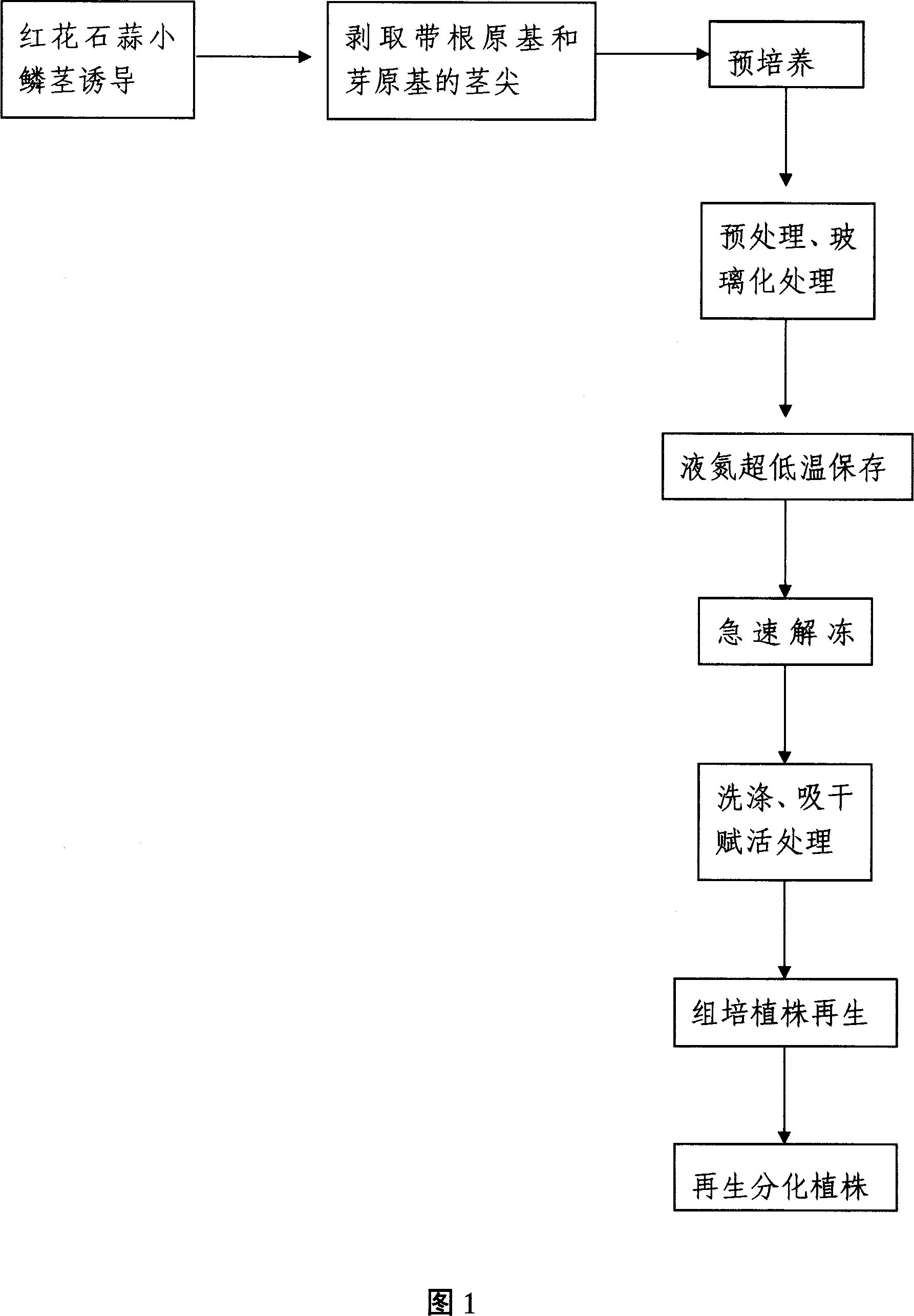 Ultra-low temperature preserving method for nutrient breeding flower and short-tube lycoris