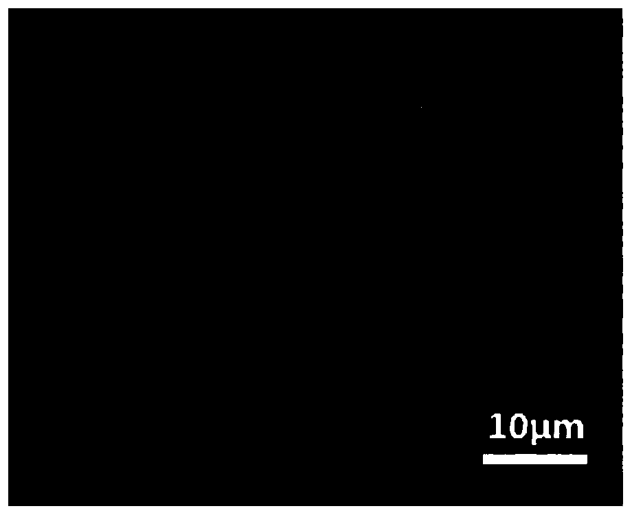 Gas diffusion layer for proton exchange film fuel cell and preparation method thereof, and proton exchange film fuel cell