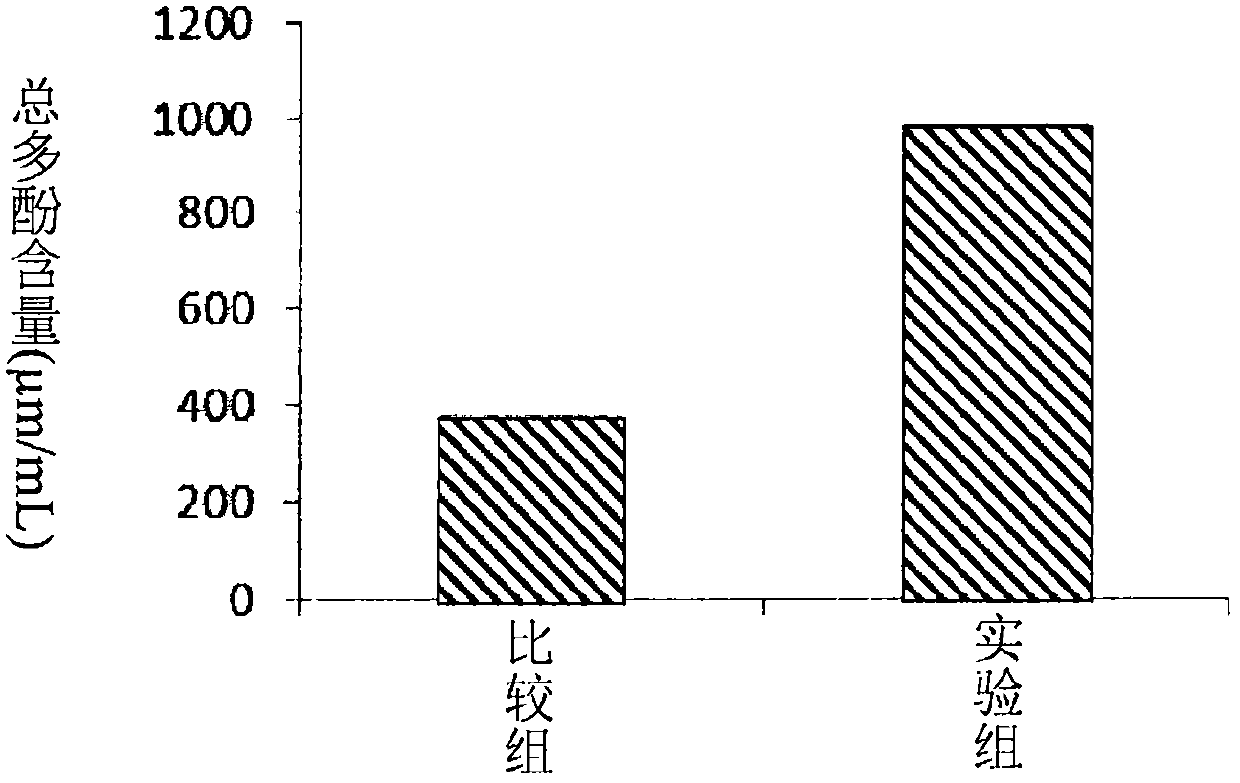 Fermentation product of punica granatum and uses thereof