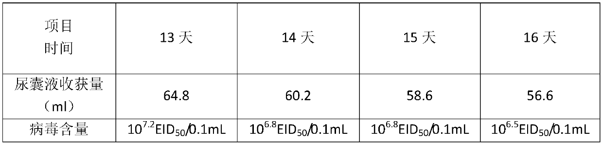 Method for preparing infectious bronchitis viral antigen by adopting non-immune eggs