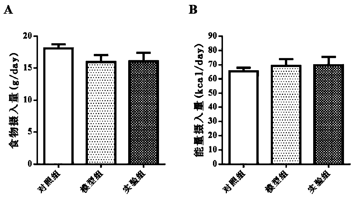 Lactobacillus reuteri with weight reducing function and application of lactobacillus reuteri