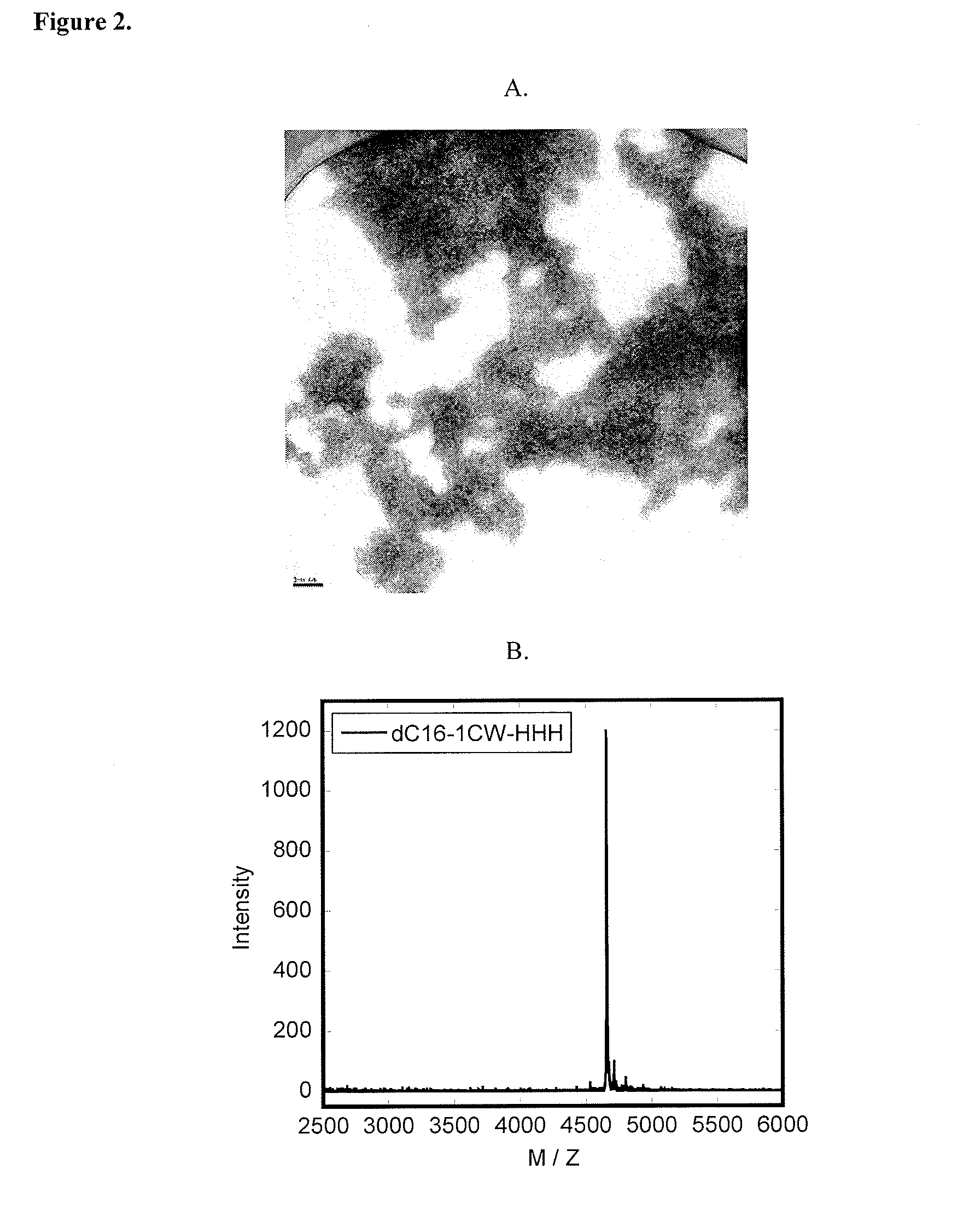 Lipid-Peptide-Polymer Conjugates and Nanoparticles Thereof