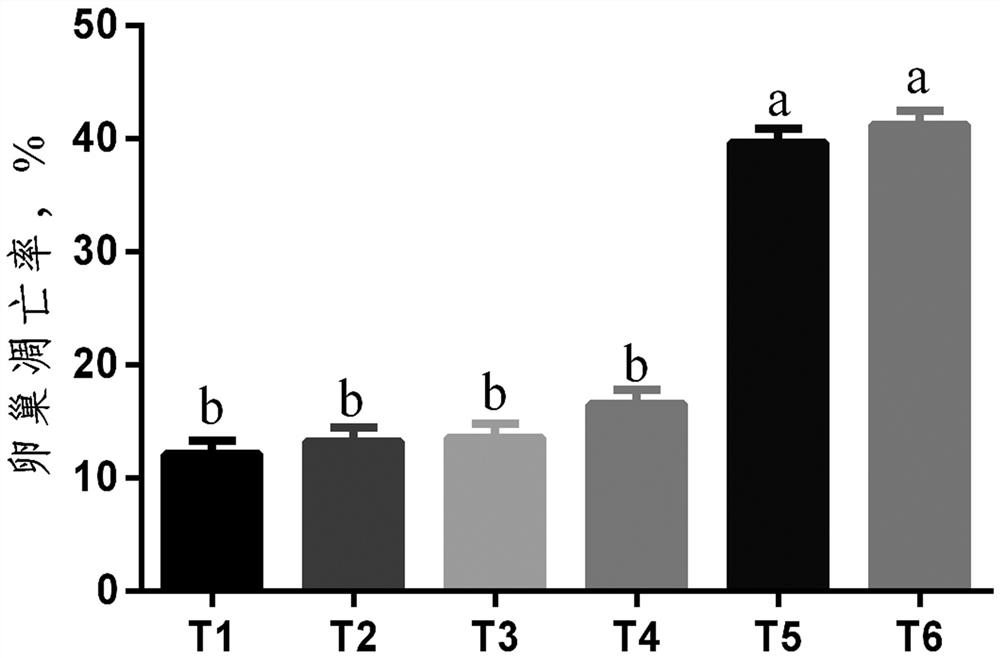 A method for establishing a model of oxidative stress in the ovary of laying hens