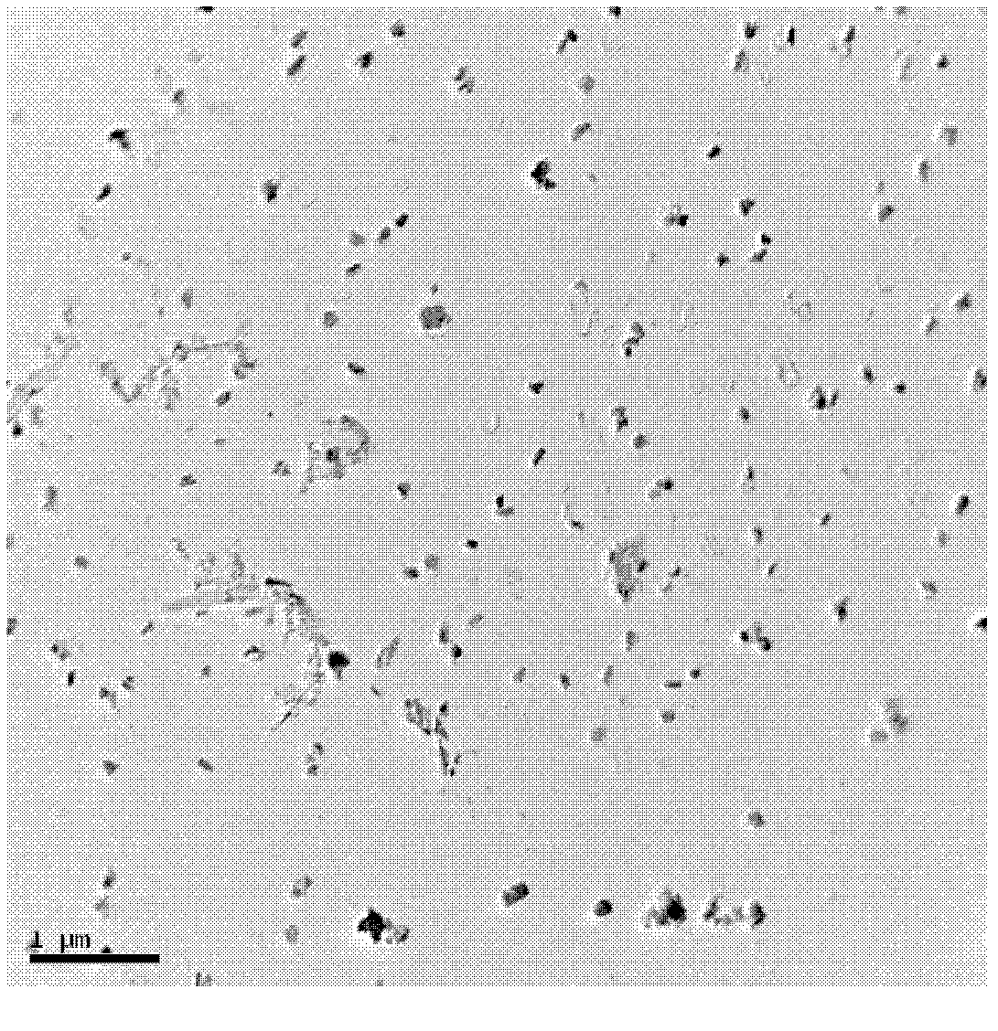 Method for producing high-magnetic-induction oriented silicon steel by continuous casting and rolling of thin slab