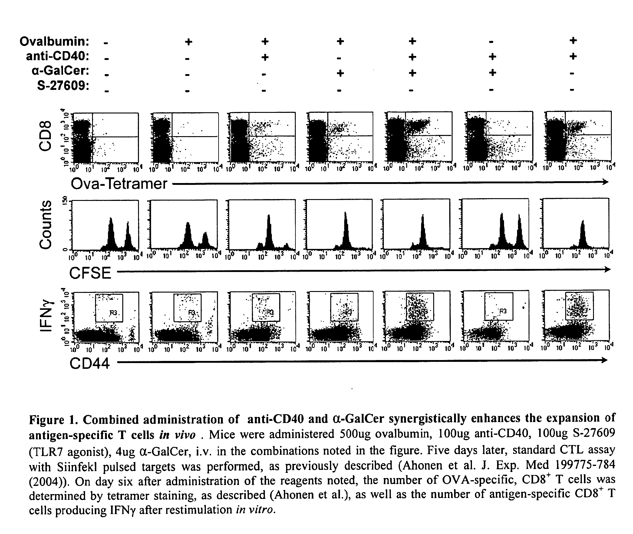 Adjuvant combinations of nkt activator, cd40 agonist, and optional antigen, the use through inducing synergistic cellular immunity