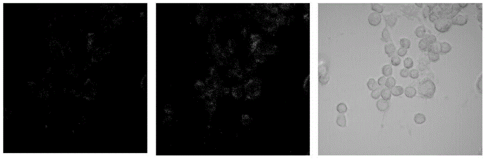 Fluorescent probe GH and preparation method and application thereof