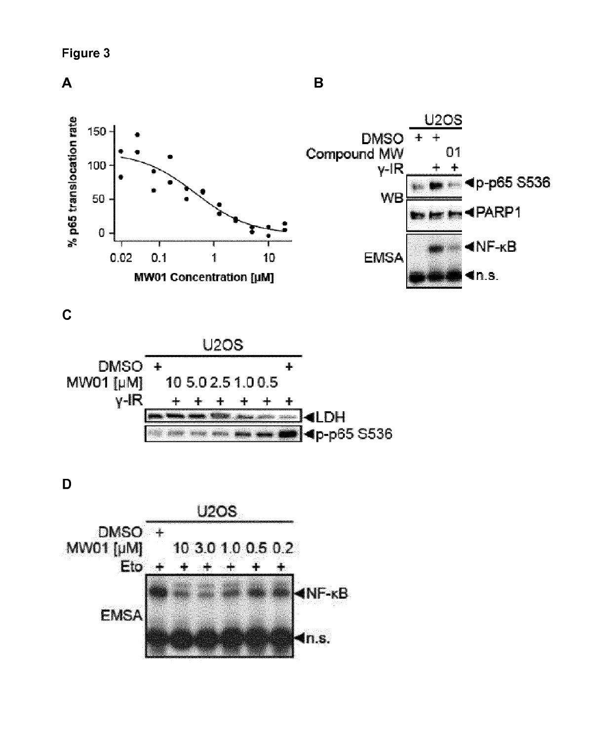 Selective inhibitors of gentotoxic steress-induced ikk/nf-kb pathways