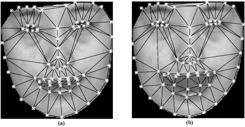 Facial expression synthetic method based on rapid expression information extraction and Poisson image fusion