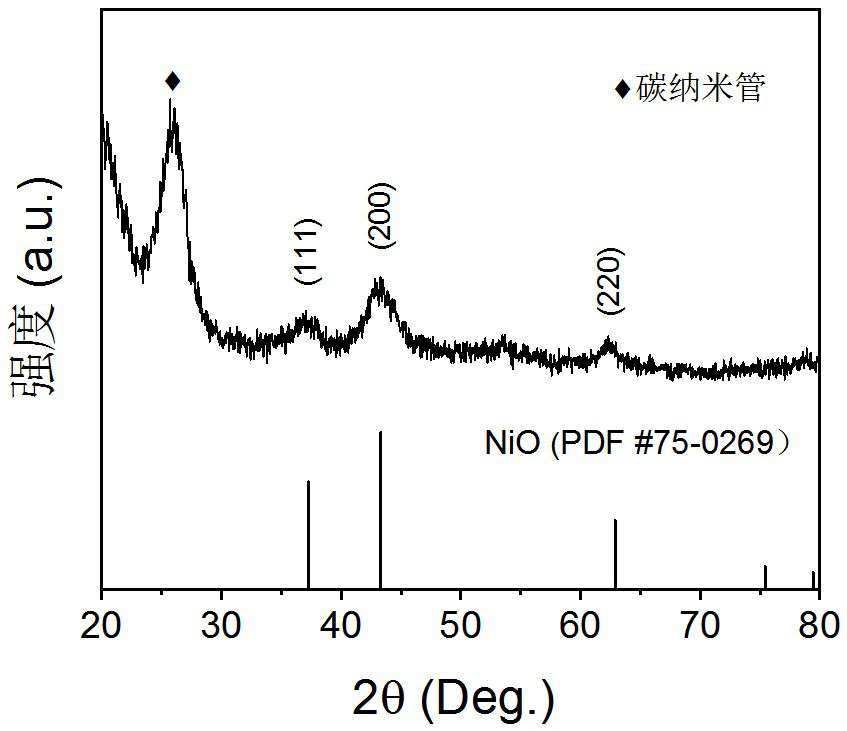 Lithium carbon dioxide battery positive electrode catalyst and preparation method thereof