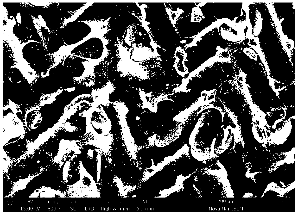 Super-hydrophobic/super-oleophilic multilevel structure polyether sulfone oil-water separation membrane and preparation method thereof