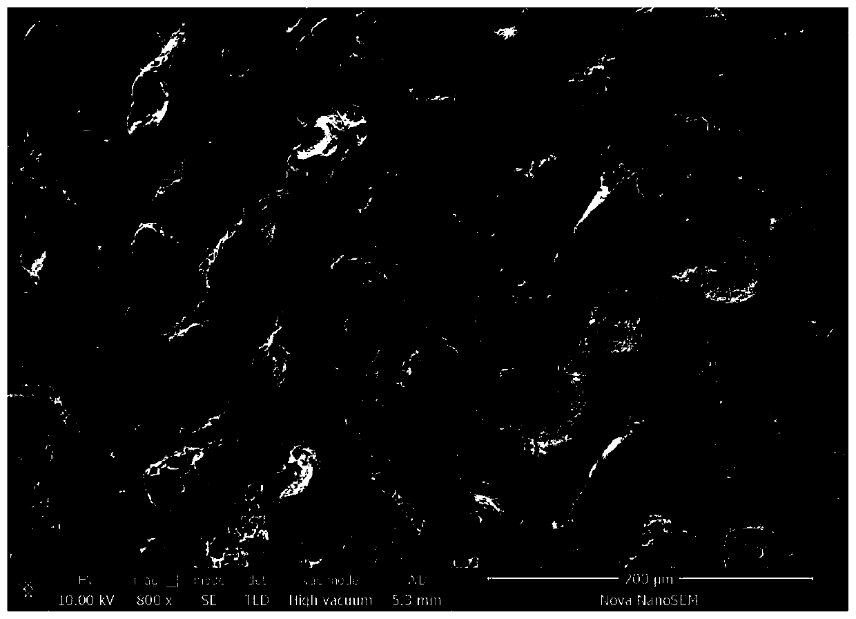 Super-hydrophobic/super-oleophilic multilevel structure polyether sulfone oil-water separation membrane and preparation method thereof