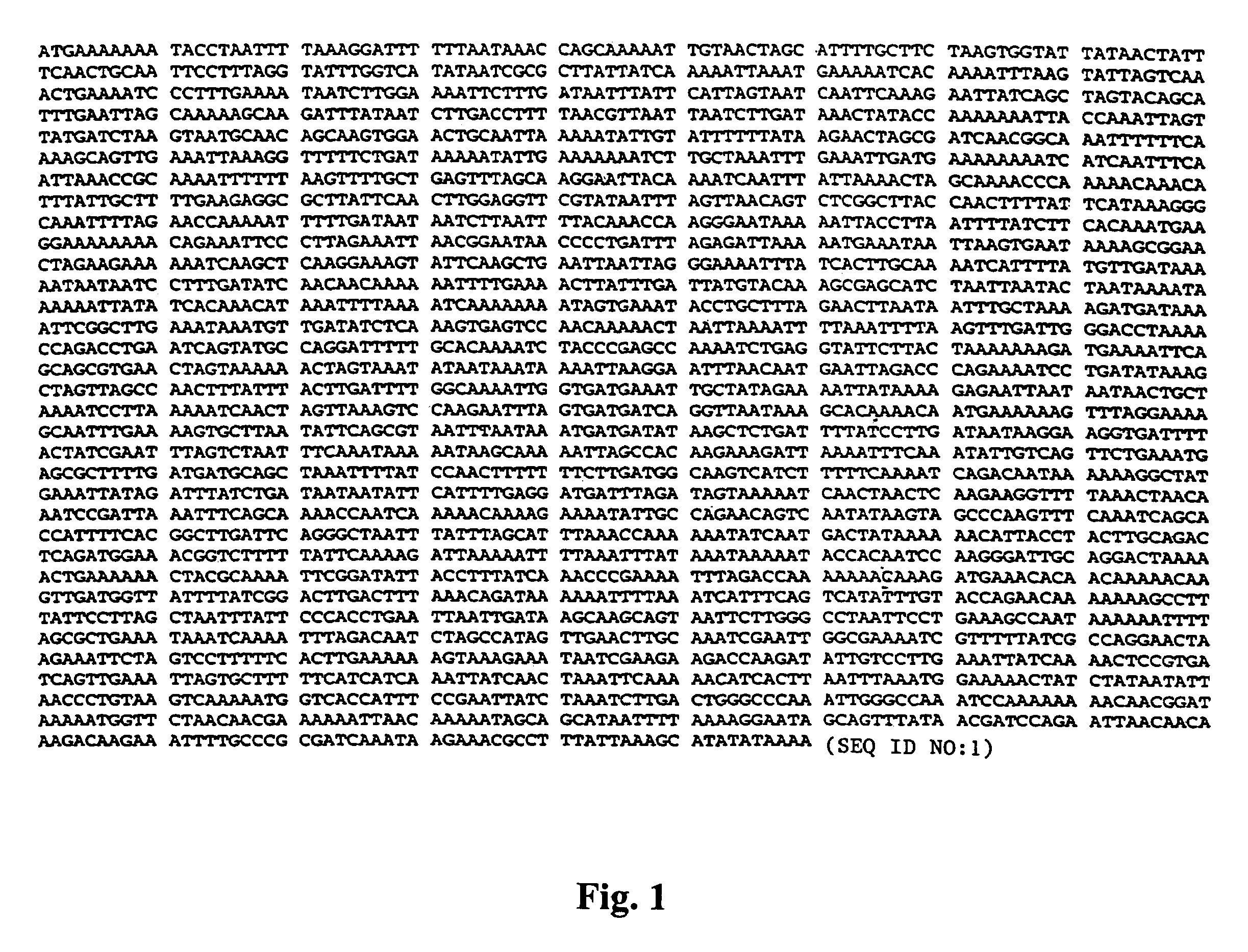 Immunogenic <i>Mycoplasma hyopneumoniae </i>polypeptides