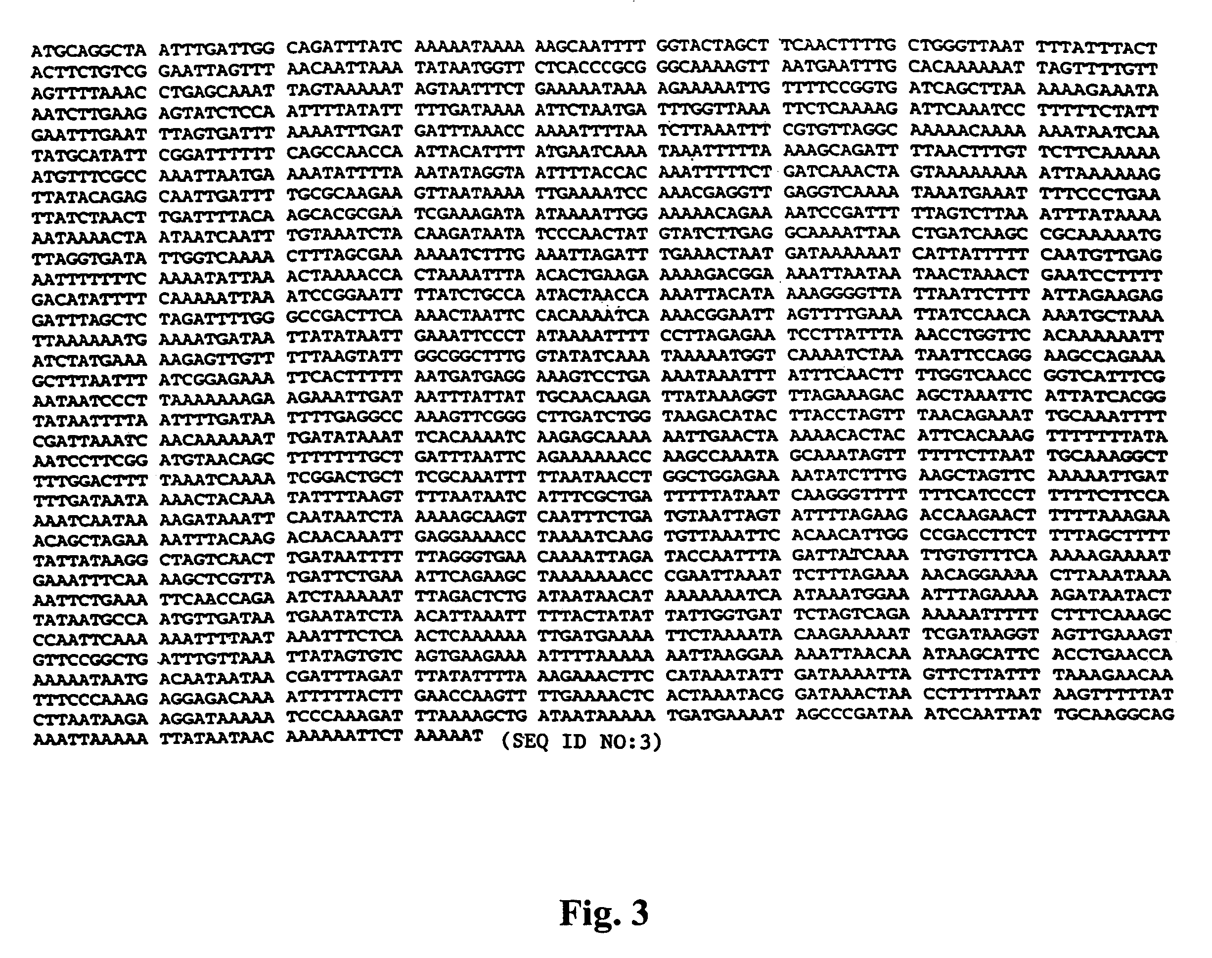 Immunogenic <i>Mycoplasma hyopneumoniae </i>polypeptides