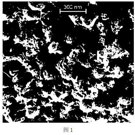 Composite nano material and preparation method and application thereof