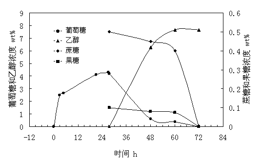 Method for producing fuel ethanol by fermenting corncob processing residue