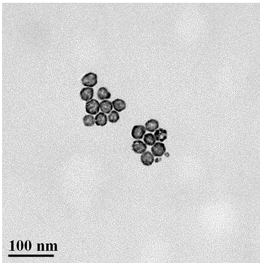 Precious metal nanocrystalline with adjustable plasma resonance absorption characteristic in visible wave band and preparation method of precious metal nanocrystalline