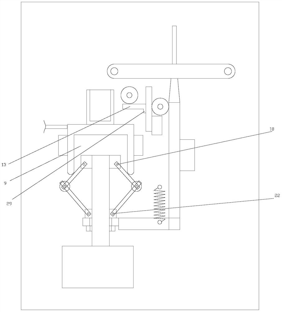 Pet feed packaging equipment