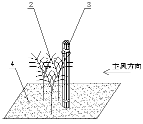 Sand-control afforestation method by use of corn straw