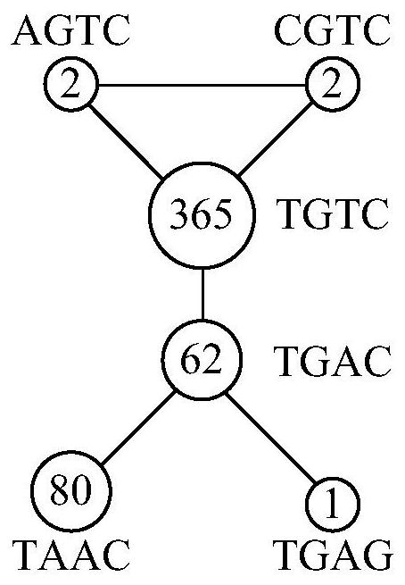 Method and device for processing circulating tumor dna repeat sequence