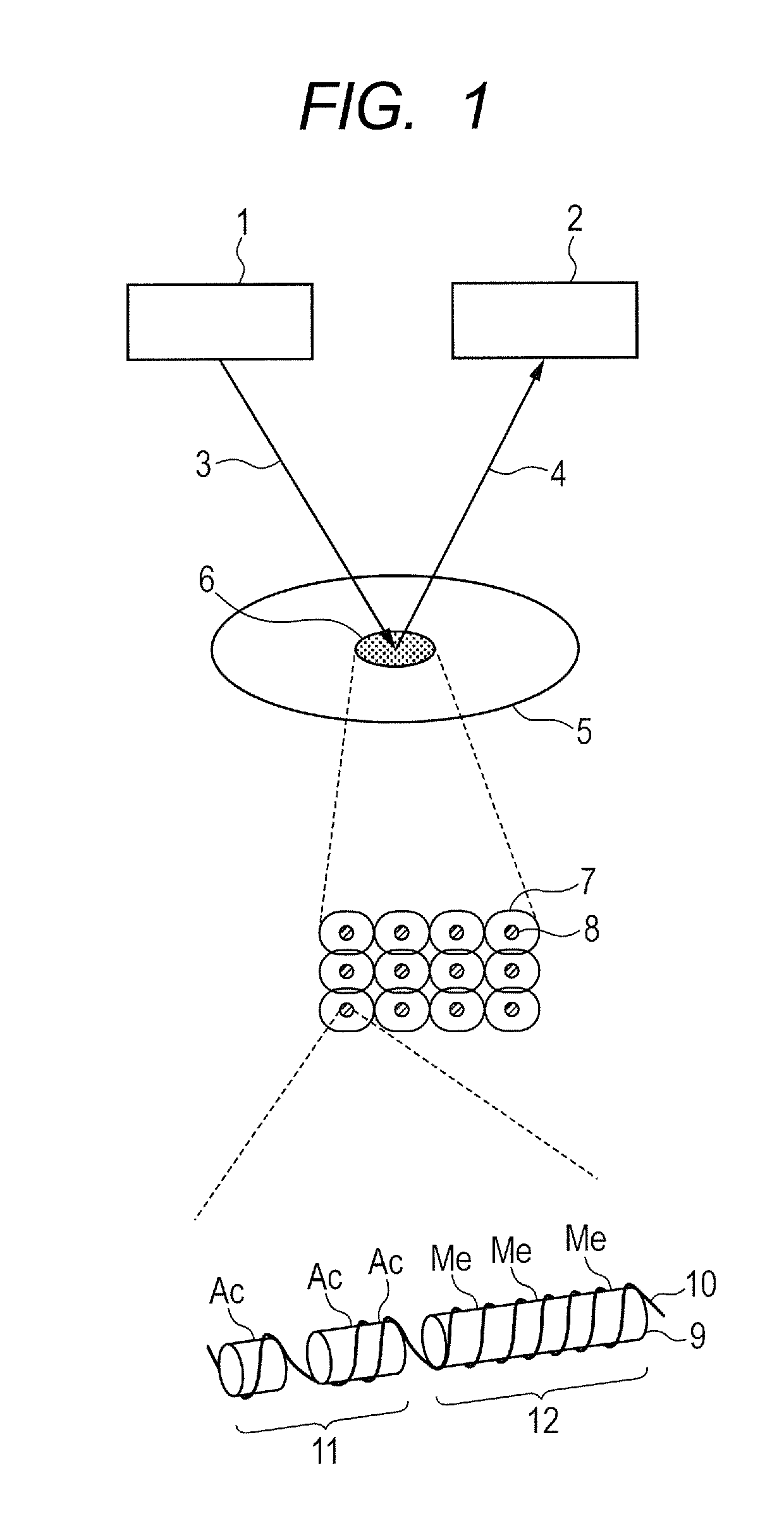 Apparatus and method for analyzing state of DNA