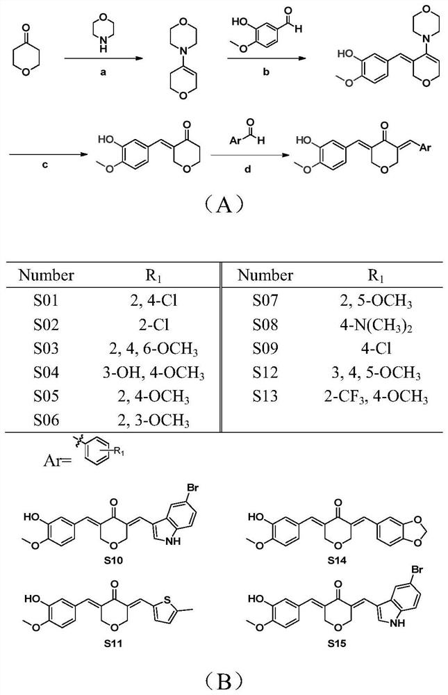 Asymmetric curcumin compounds and their application in the preparation of anti-gastric cancer drugs