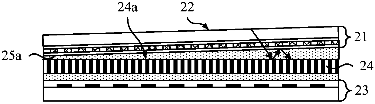 Display module