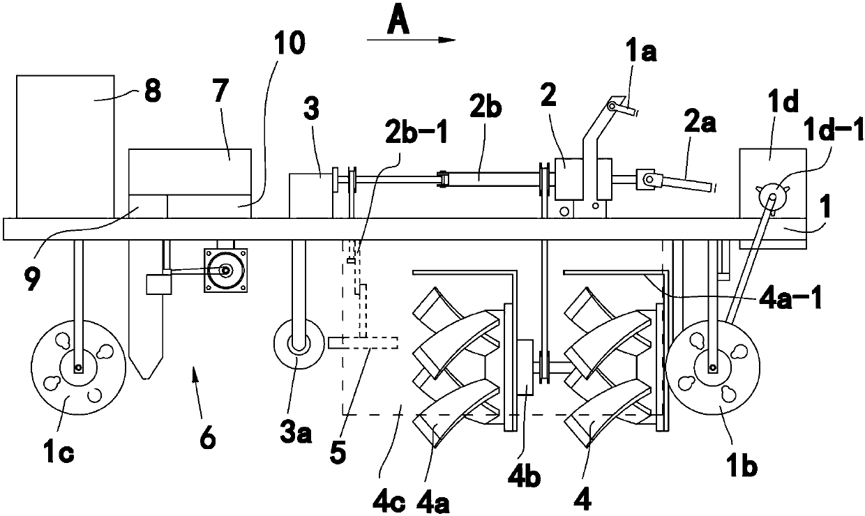 Bambusa oldhami planting device