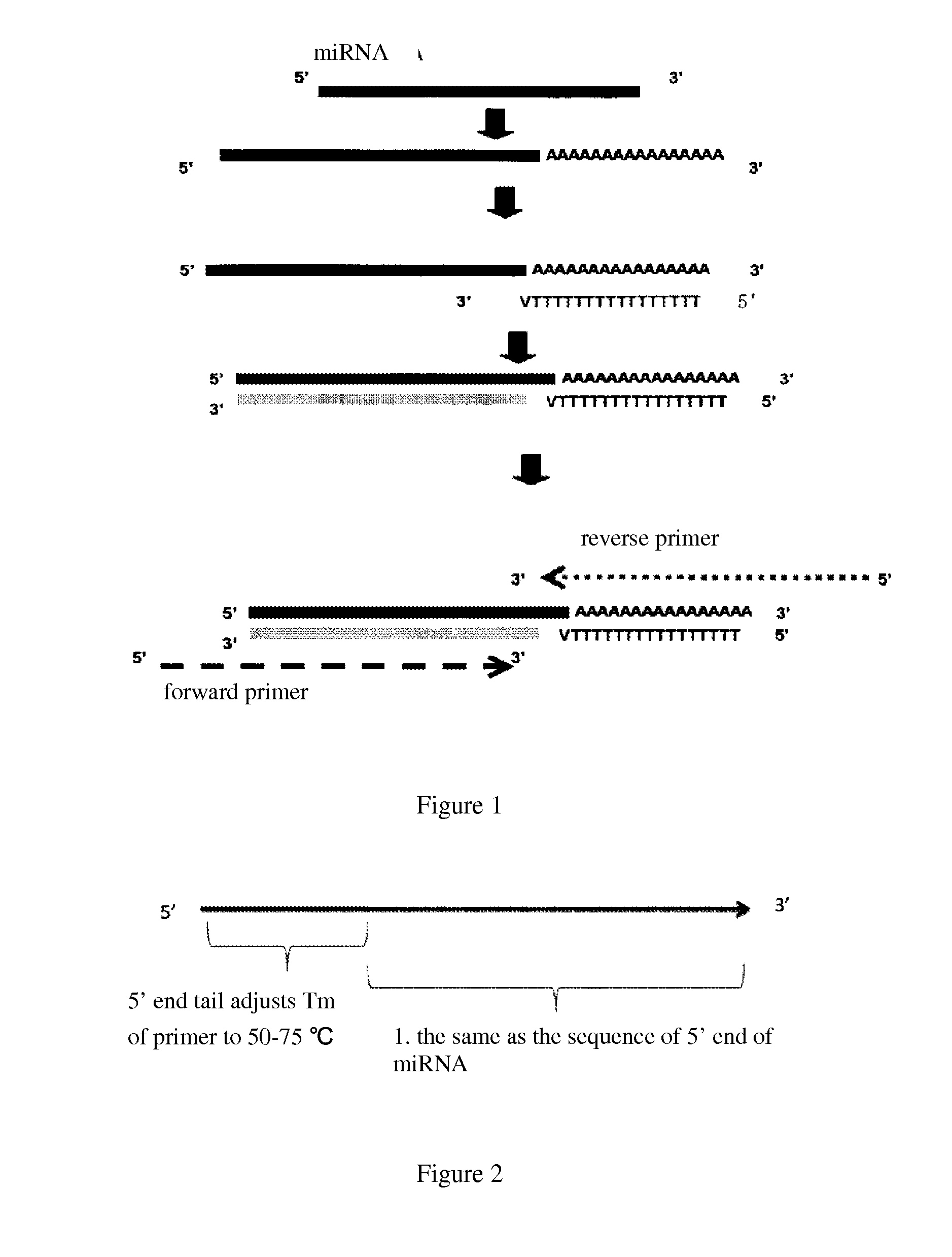 Detection method of micro-rna with high specificity