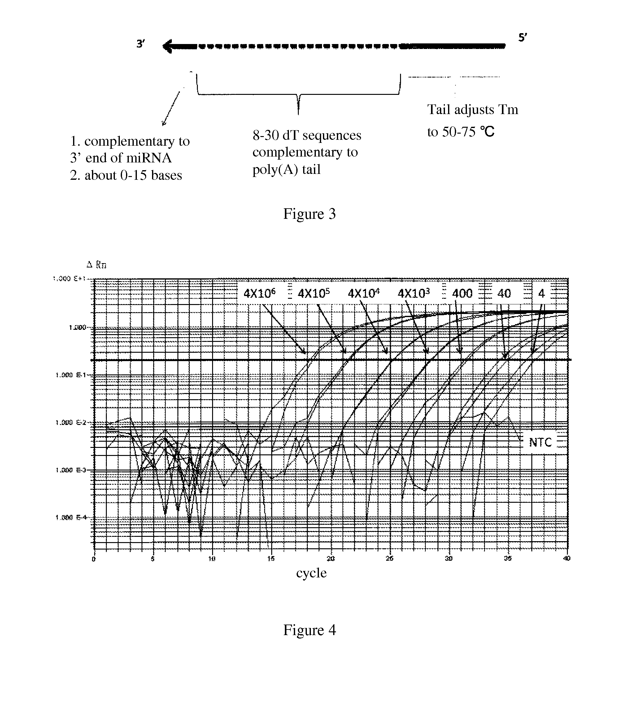 Detection method of micro-rna with high specificity