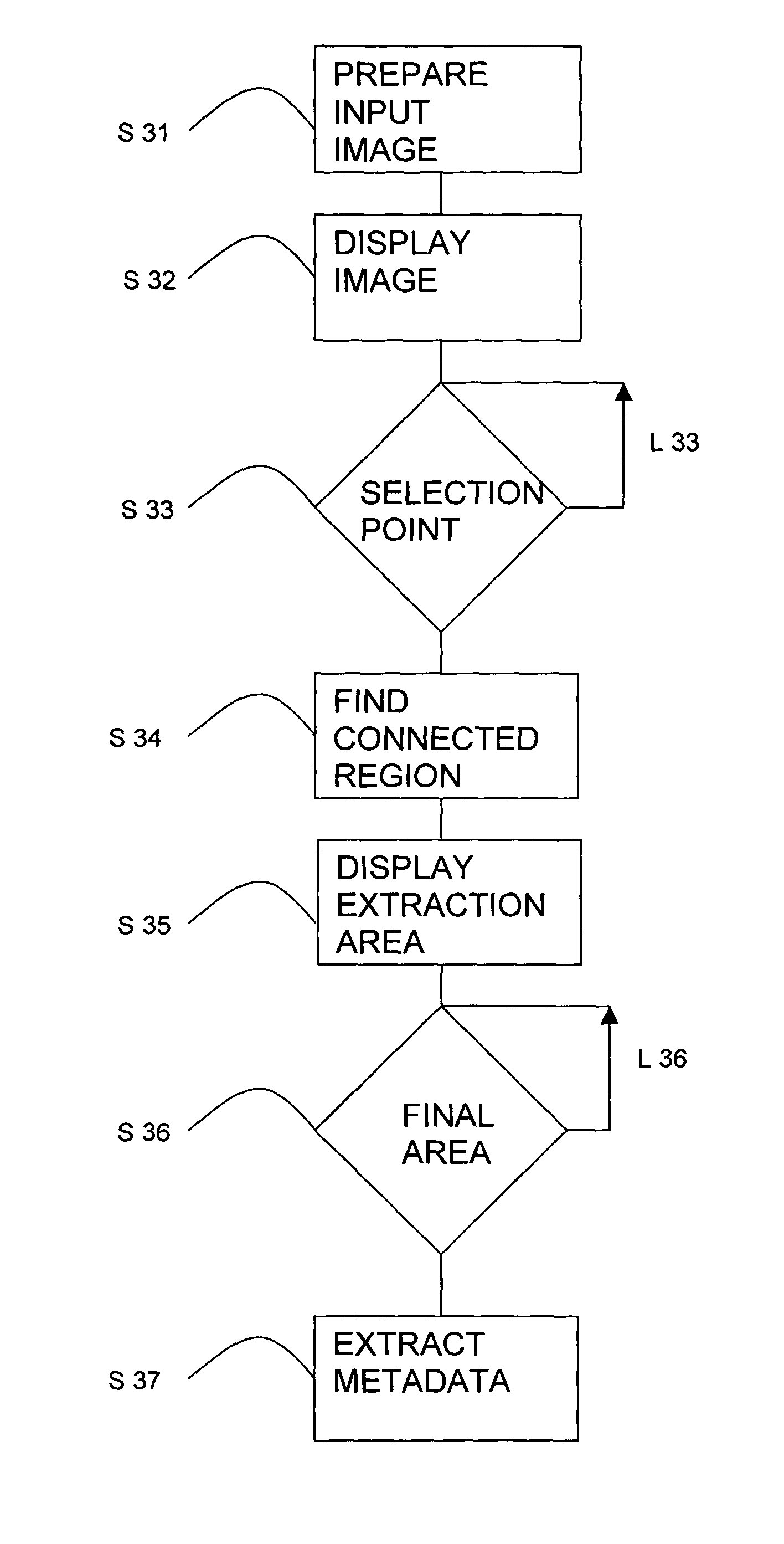 Metadata extraction from designated document areas