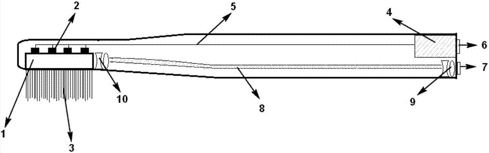 Toothbrush-type device for treating periodontitis by using photodynamic therapy