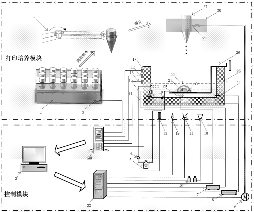 Brain-like tissue in-vitro printing and culture system and brain-like tissue in-vitro printing and culture method