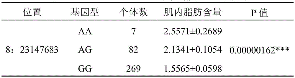 Molecular marker influencing intramuscular fat character of pig and application